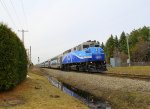 AMTL 1346